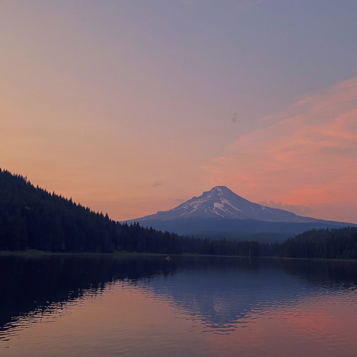 Mt Hood at sunset
